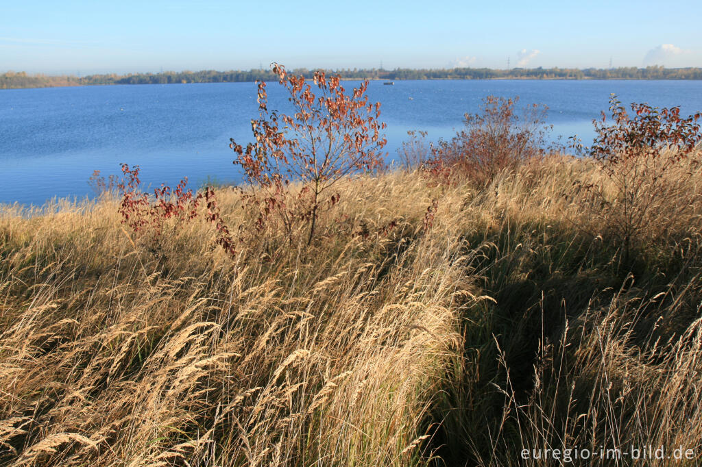 Detailansicht von Blausteinsee bei Eschweiler