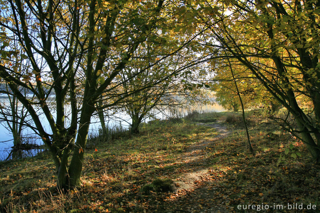 Detailansicht von Blausteinsee bei Eschweiler