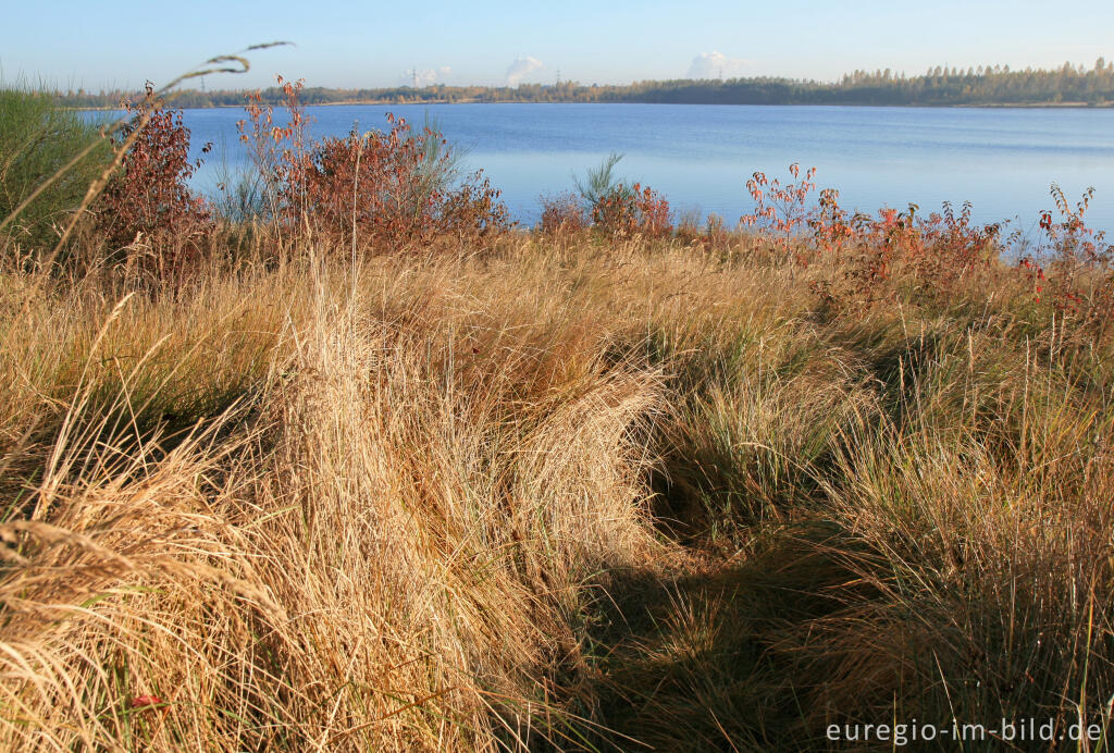 Detailansicht von Blausteinsee bei Eschweiler