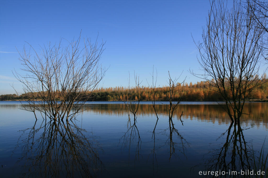 Detailansicht von Blausteinsee bei Eschweiler