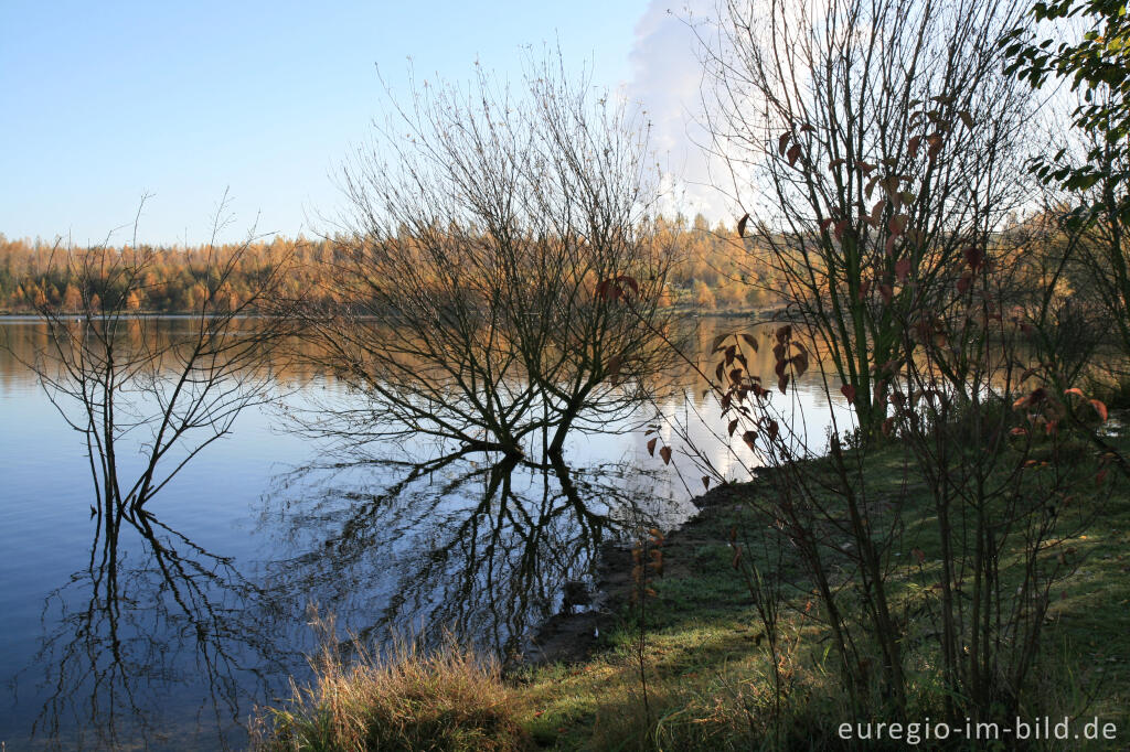 Detailansicht von Blausteinsee bei Eschweiler