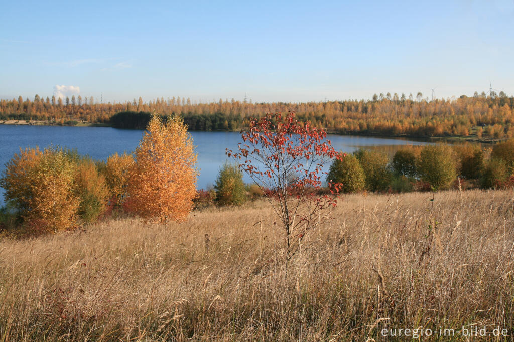 Detailansicht von Blausteinsee bei Eschweiler