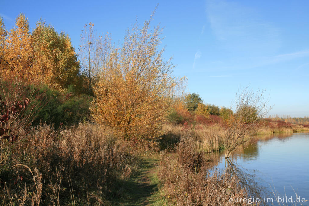 Detailansicht von Blausteinsee bei Eschweiler