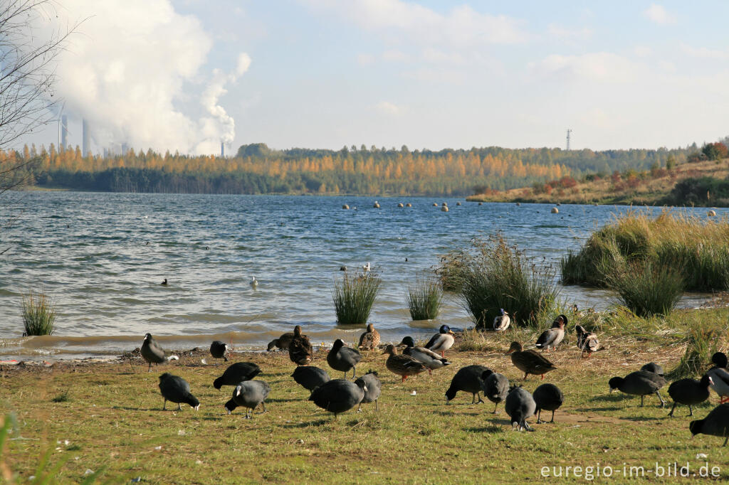 Detailansicht von Blausteinsee bei Eschweiler, Kraftwerk Weisweiler