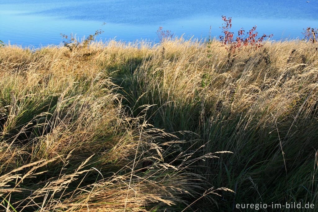 Detailansicht von Blausteinsee bei Eschweiler