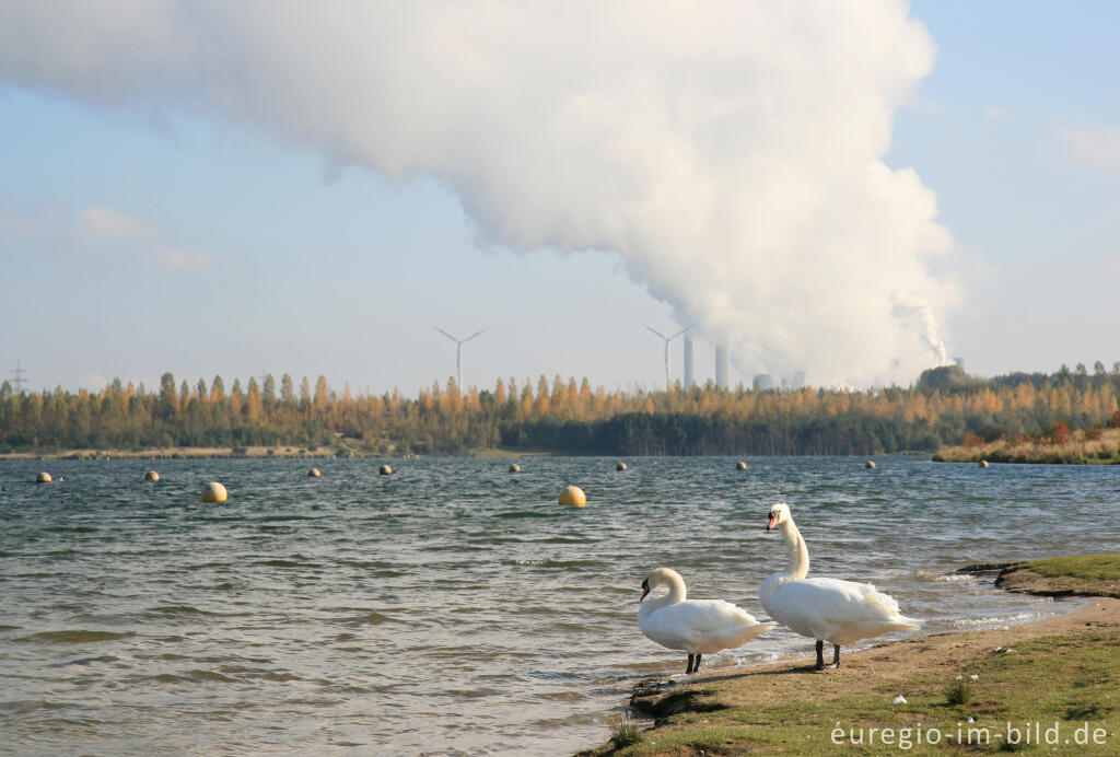 Detailansicht von Blausteinsee mit Kraftwerk Weisweiler