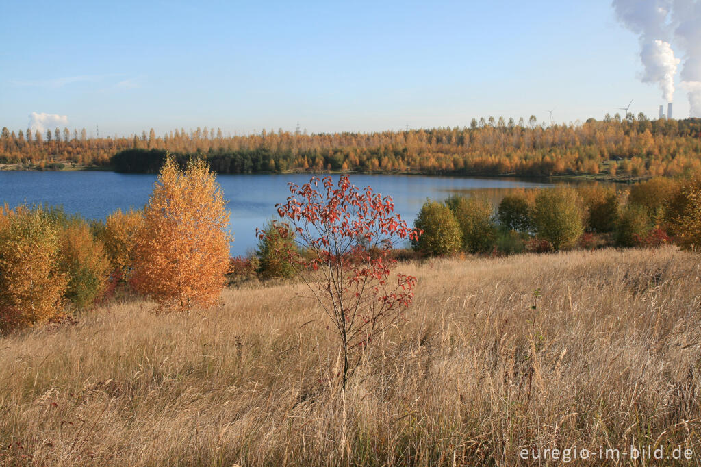 Detailansicht von Blausteinsee mit Kraftwerk Weisweiler