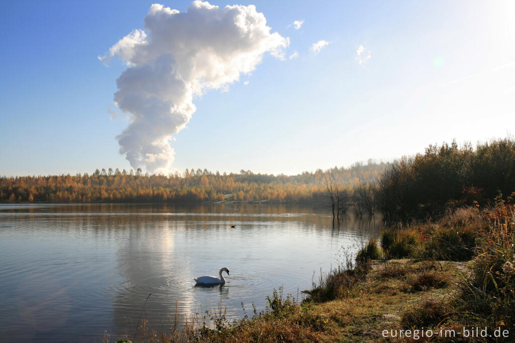 Detailansicht von Blausteinsee mit Kraftwerk Weisweiler