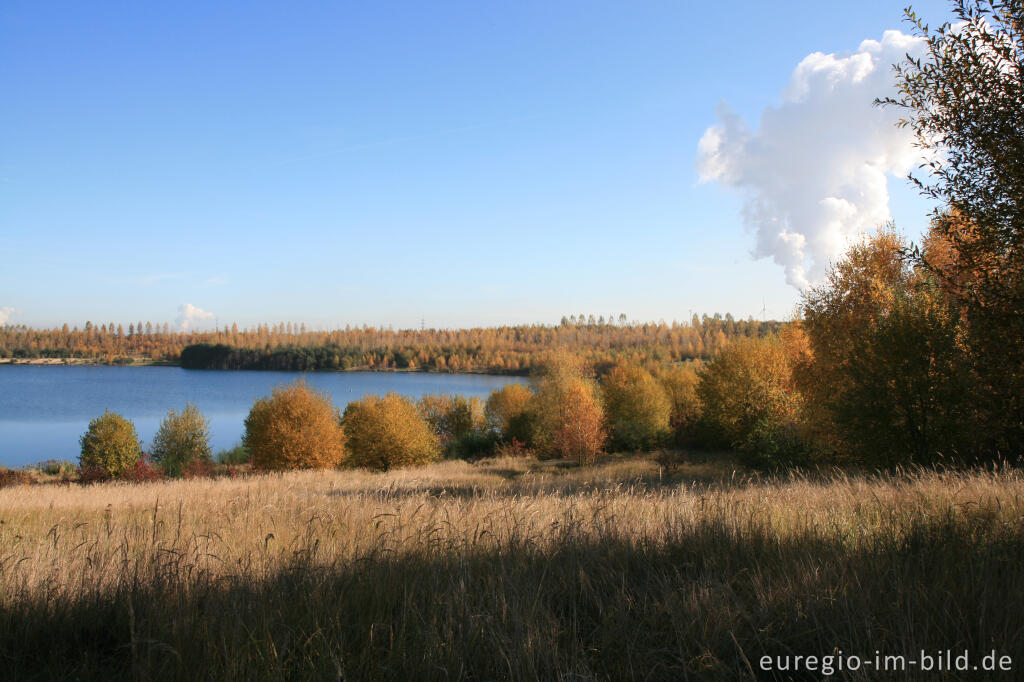 Detailansicht von Blausteinsee mit Kraftwerk Weisweiler