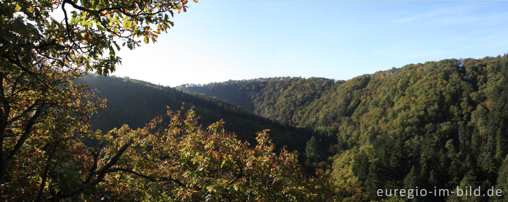 Detailansicht von Blick auf das herbstliche Liesertal, südlich von Manderscheid