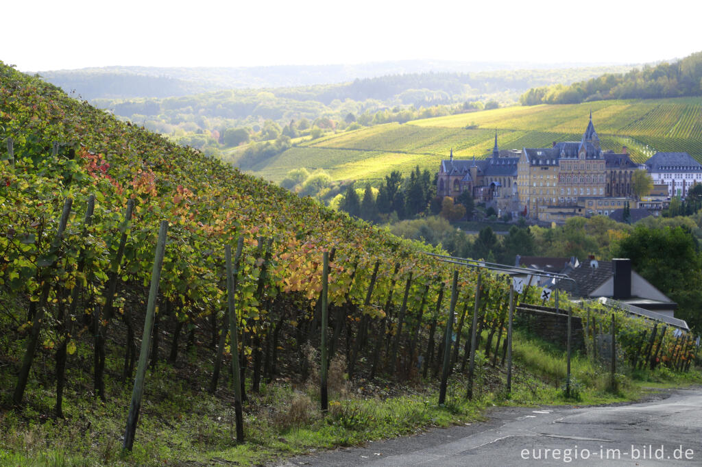 Detailansicht von Blick auf das Kloster Calvarienberg in Ahrweiler