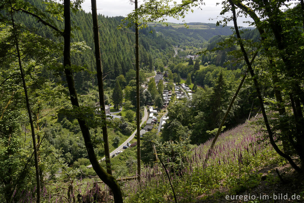 Blick auf den Campingplatz bei der Rellesmühle, Ourtal bei Dasburg