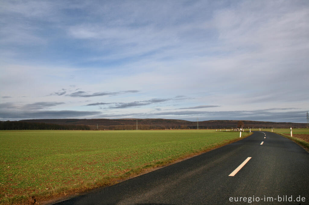 Detailansicht von Blick auf die Sophienhöhe