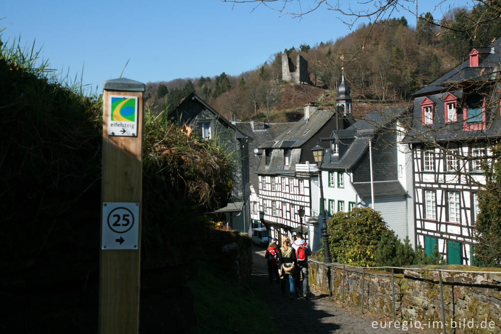 Blick auf Monschau