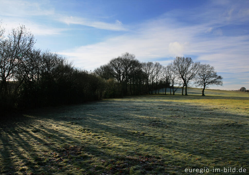 Detailansicht von Blick auf Walheim