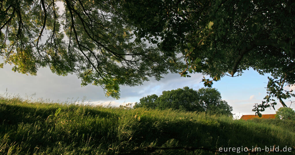 Blick in die Landschaft über den Rand des Bocholtzer Wegs bei Horbach