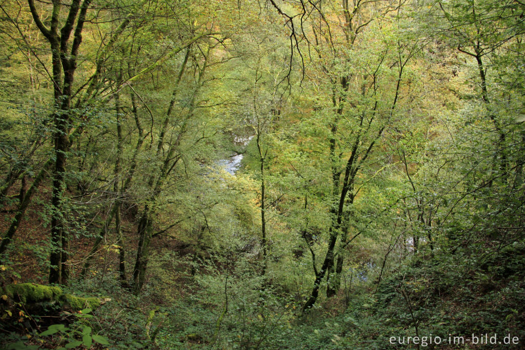 Detailansicht von Blick nach unten im Liesertal bei Manderscheid