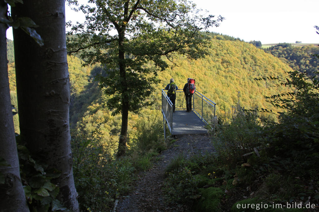 Detailansicht von Blick vom Burgberg auf das Liesertal