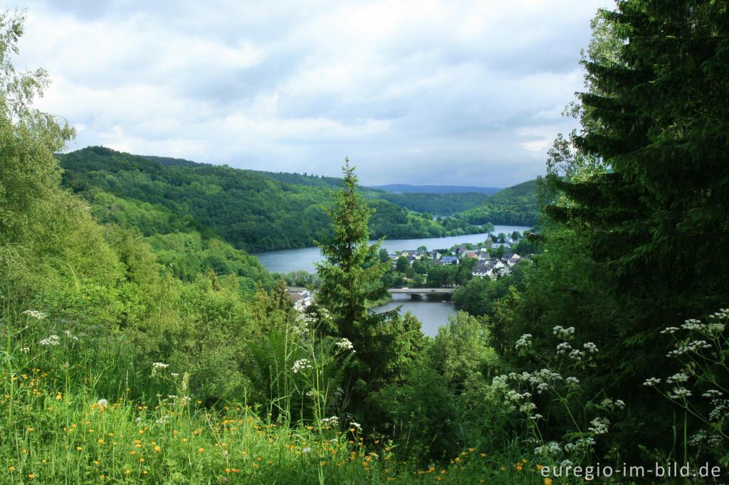 Detailansicht von Blick vom Eifelsteig auf den Obersee und Einruhr