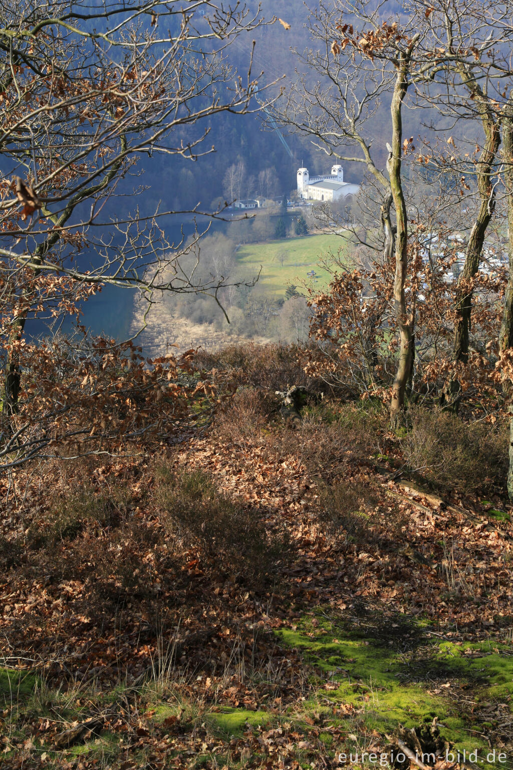 Detailansicht von Blick vom Meuchelberg auf das Kraftwerk Heimbach und das Staubecken Heimbach 