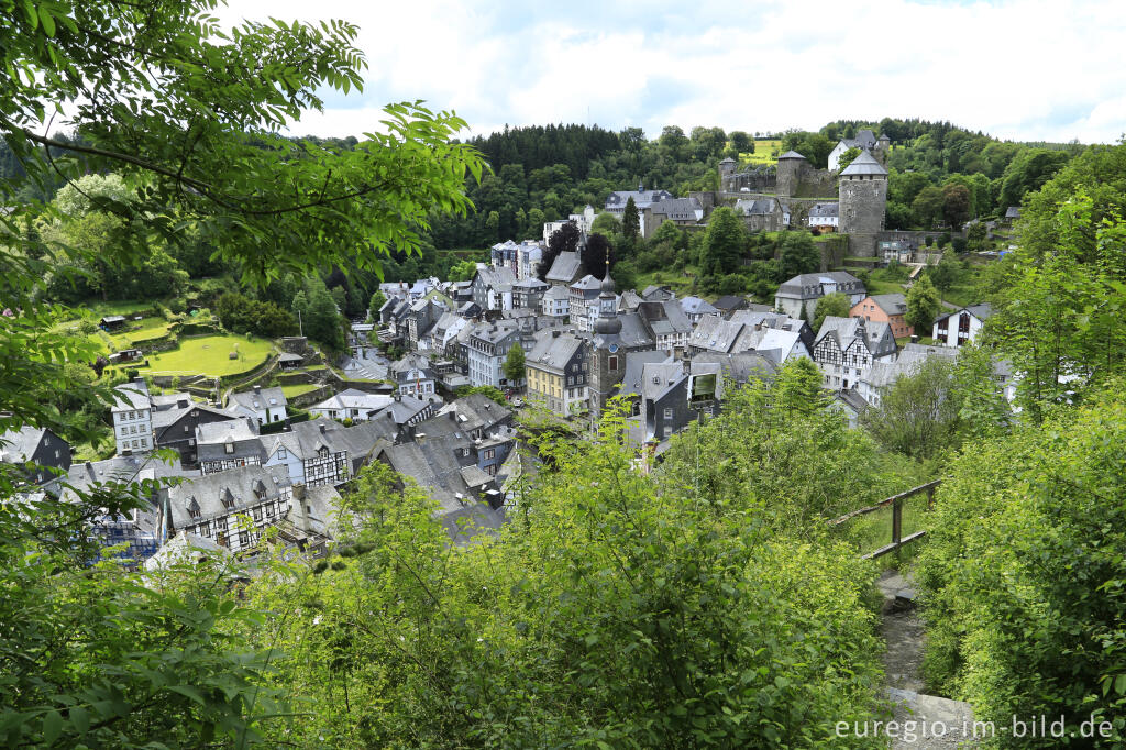 Detailansicht von Blick vom Panoramaweg aus auf Monschau