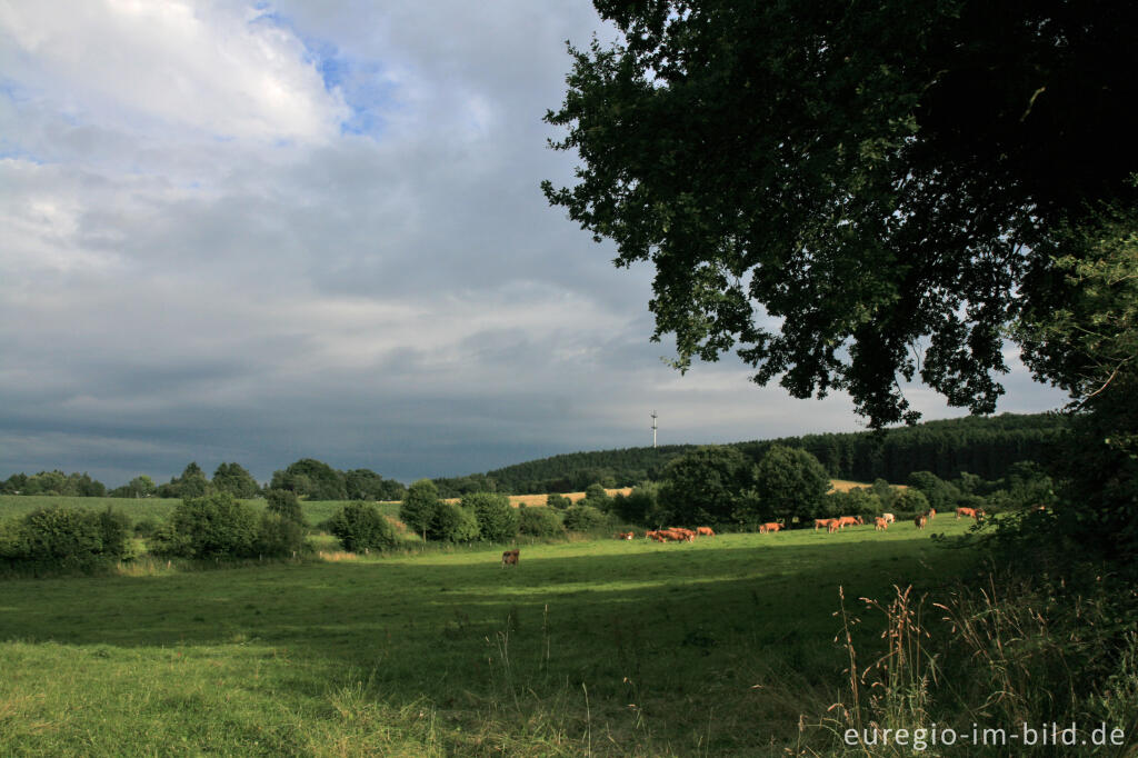 Blick vom Philippionsweg nach Süden, Aachen - Hanbruch