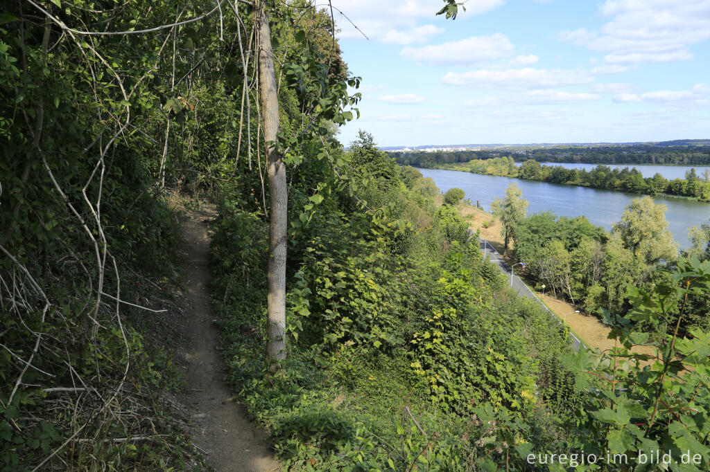 Detailansicht von Blick vom Plateau von Caestert auf die Maas