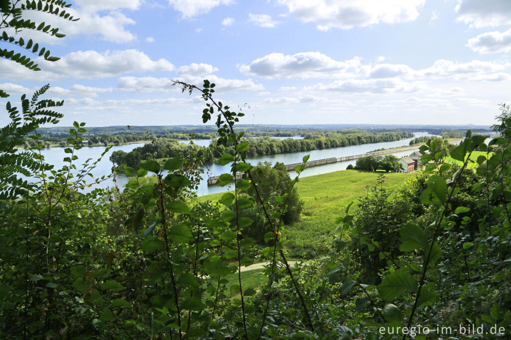 Detailansicht von Blick vom Plateau von Caestert auf die Maas