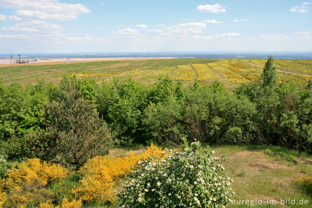 Detailansicht von Blick vom Römerturm nach Osten, Sophienhöhe