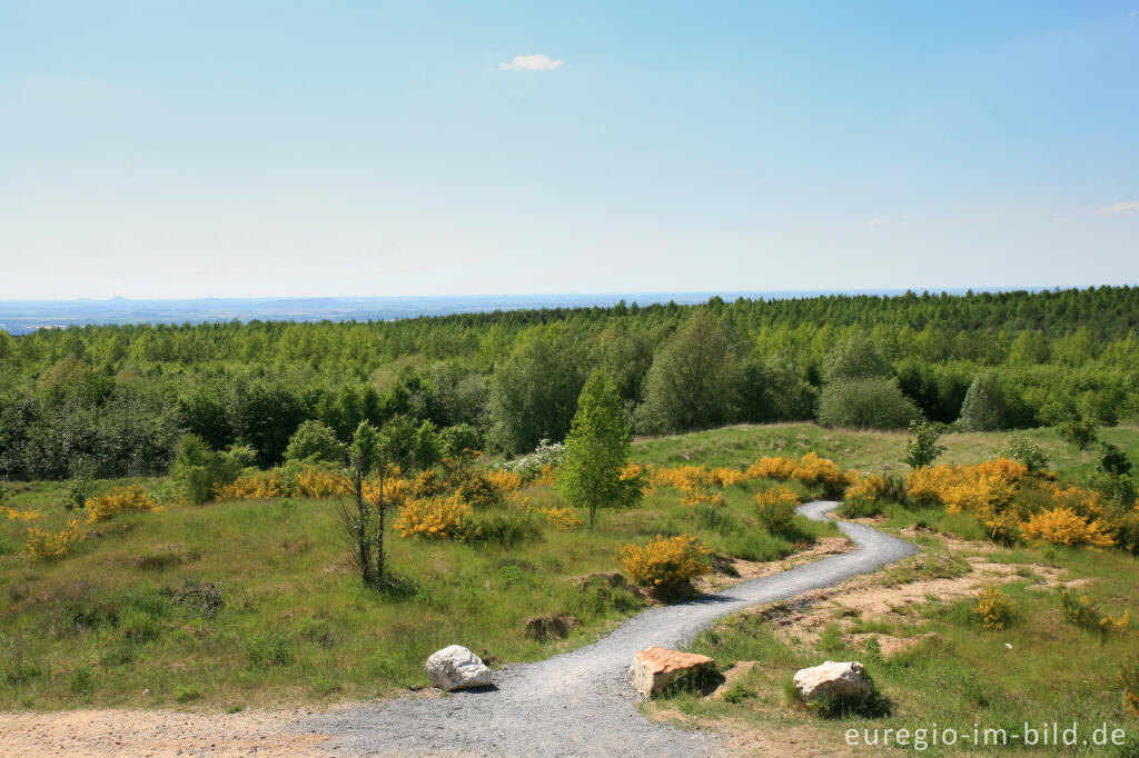 Detailansicht von Blick vom Römerturm nach Westen, Sophienhöhe