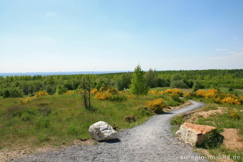 Detailansicht von Blick vom Römerturm nach Westen, Sophienhöhe