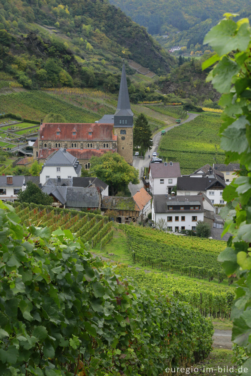 Detailansicht von Blick vom Rotweinwanderweg auf Mayschoß mit Pfarrkirche St. Nikolaus