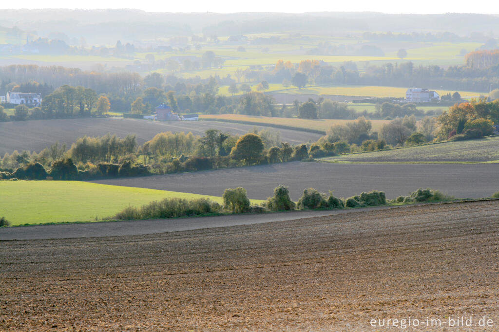 Detailansicht von Blick vom Schneeberg nach Westen