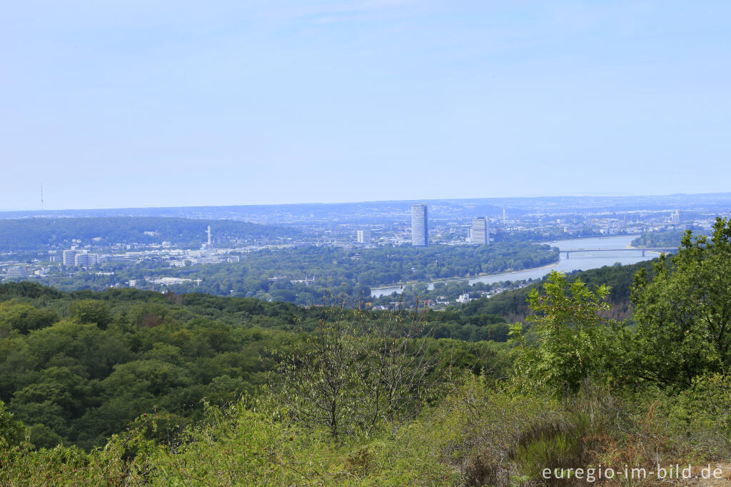 Detailansicht von Blick vom Stenzelberg auf den Rhein mit Bad Godesberg und Bonn