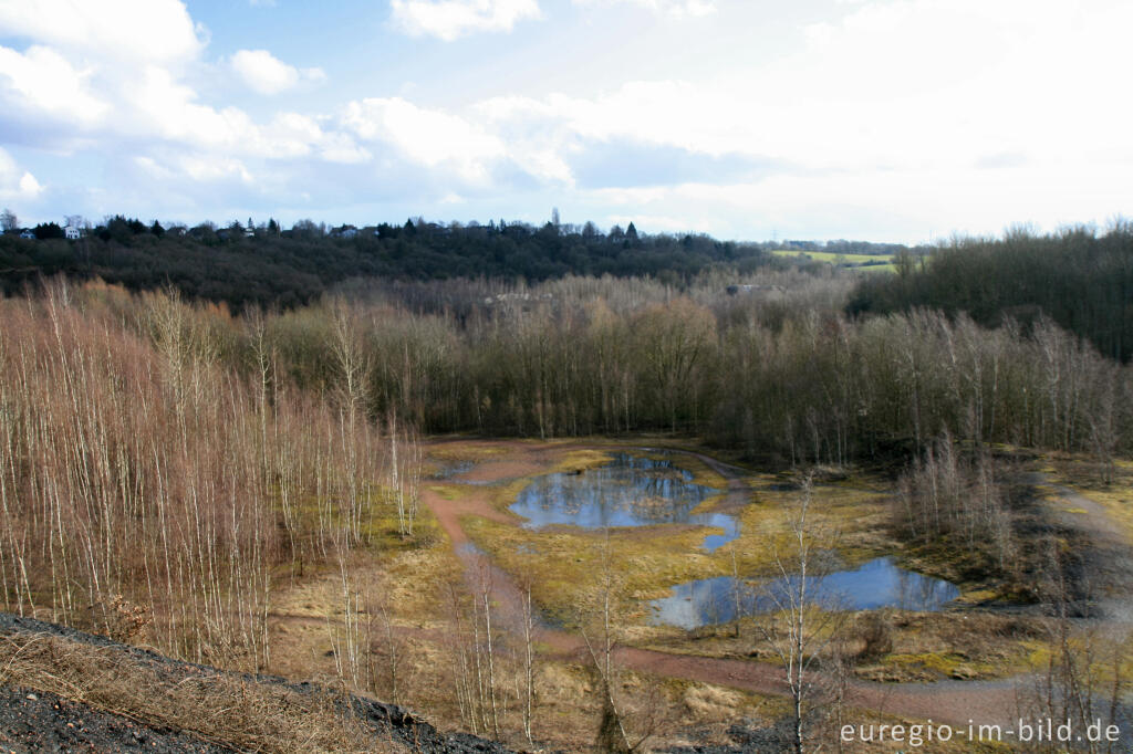 Detailansicht von Blick von der schwarzen Halde auf die rote Halde, Wurmtal, Würselen