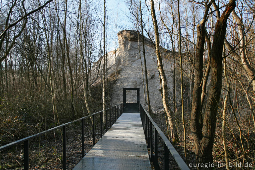 Detailansicht von Blick von der schwarzen Halde auf die rote Halde, Wurmtal, Würselen