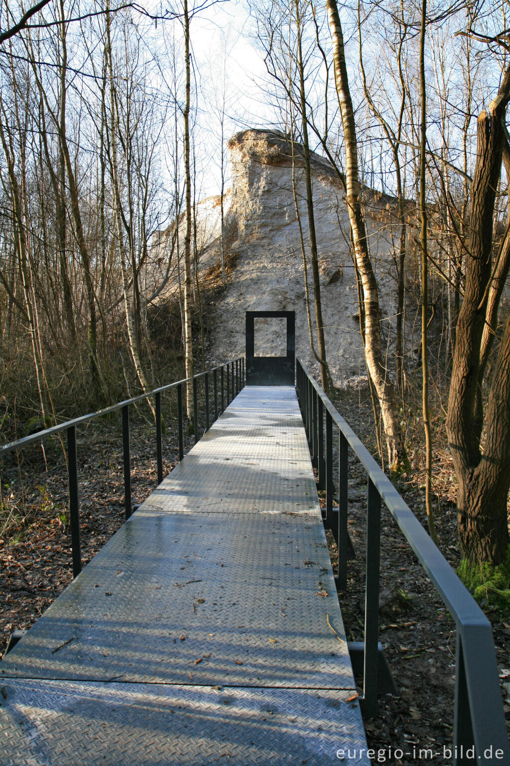 Detailansicht von Blick von der schwarzen Halde auf die rote Halde, Wurmtal, Würselen