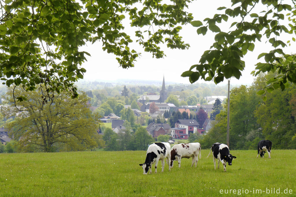 Detailansicht von Blick von der Vennbahn (RAVeL 48) auf Roetgen