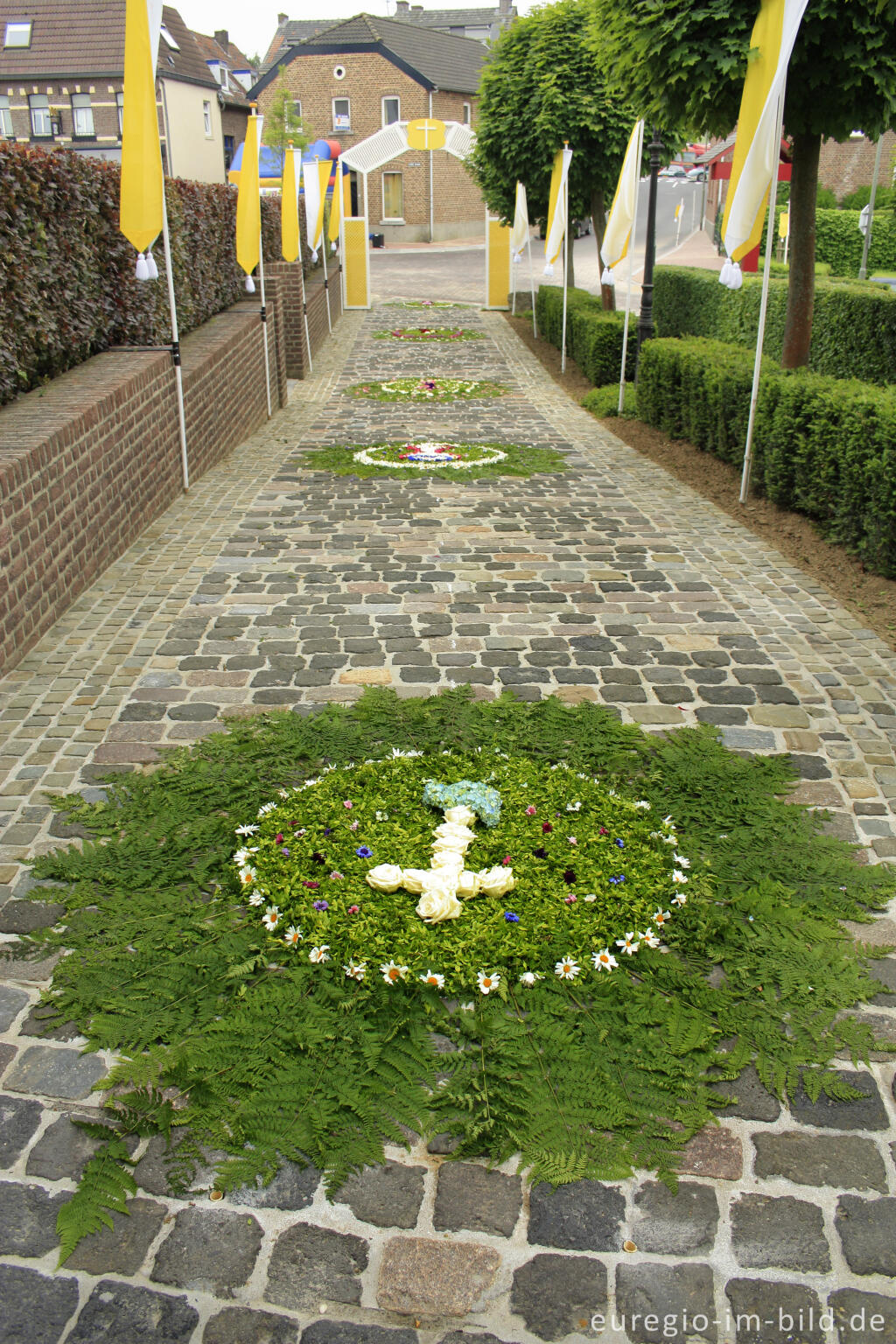 Detailansicht von Blumenschmuck in Wahlwiller anlässlich der "Bronk-Prozession"