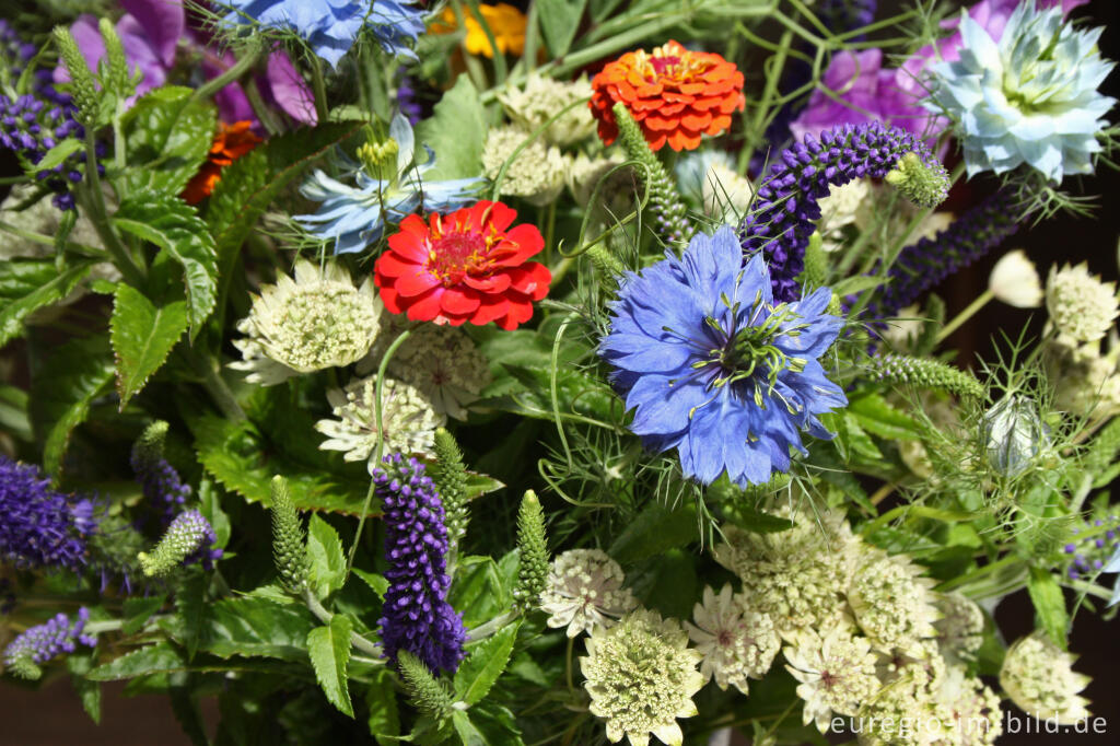 Detailansicht von Blumenstrauß für den Monat Juli