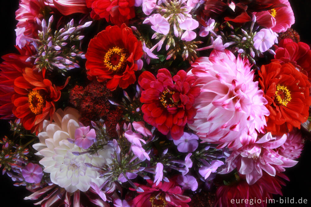 Detailansicht von Blumenstrauß mit Dahlien, Zinnien, Phlox und Fetthenne