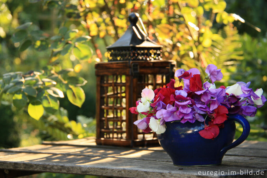 Detailansicht von Blumenstrauß mit Duftwicken