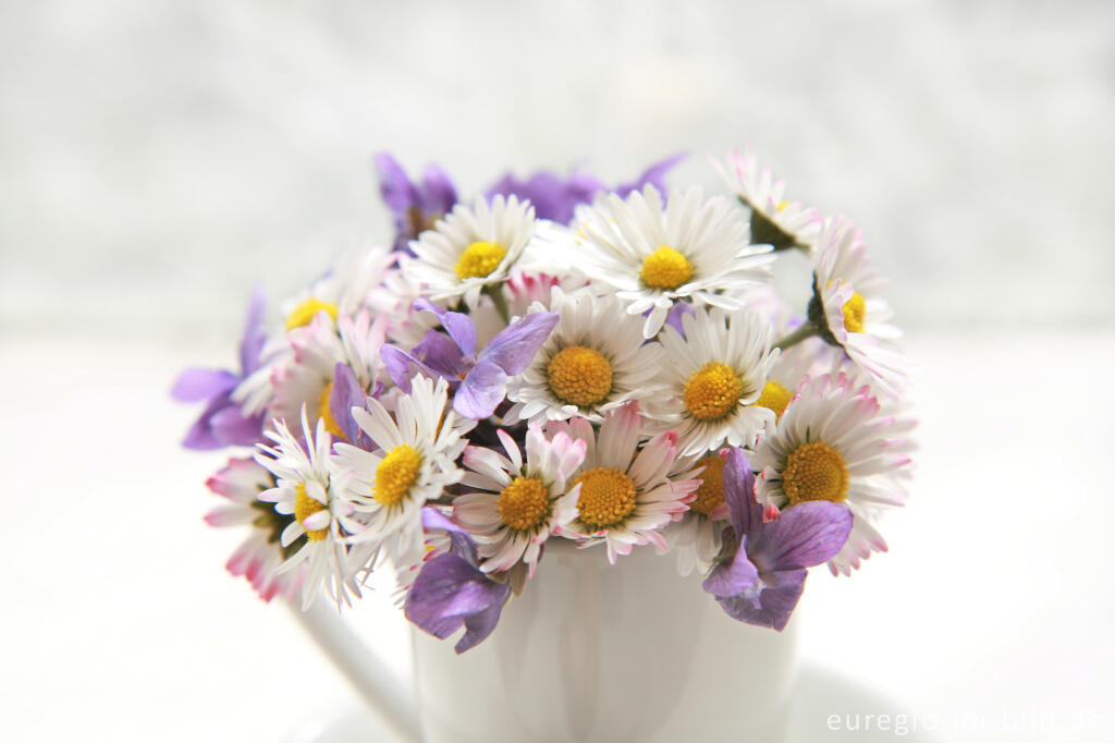 Detailansicht von Blumenstrauß mit Gänseblümchen und Veilchen