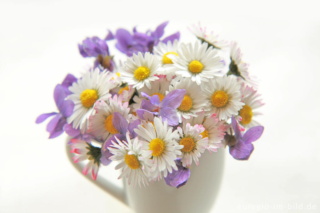 Detailansicht von Blumenstrauß mit Gänseblümchen und Veilchen