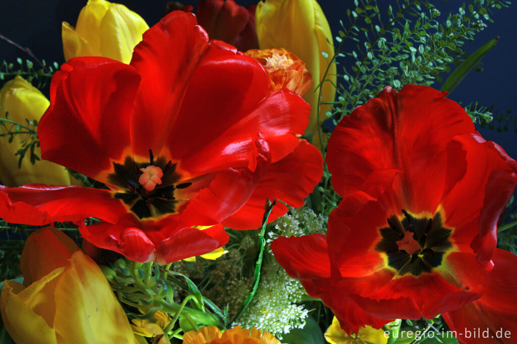 Detailansicht von Blumenstrauß mit roten Tulpen von Ulrike Hager  für den Monat April