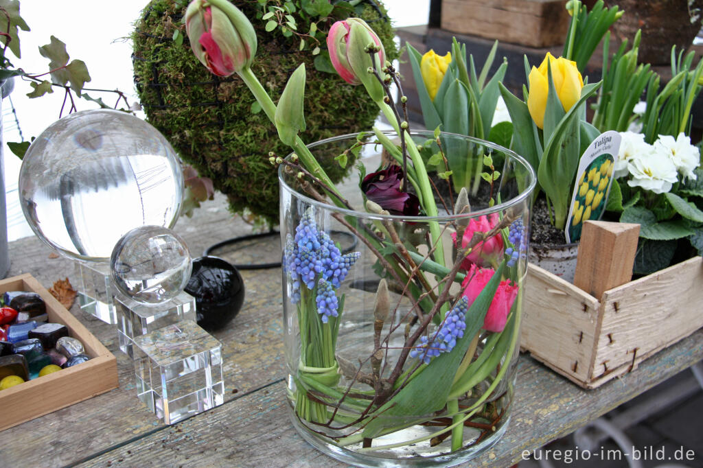 Detailansicht von Blumenstrauß mit Tulpen und Traubenhyazinthen für den Monat Februar