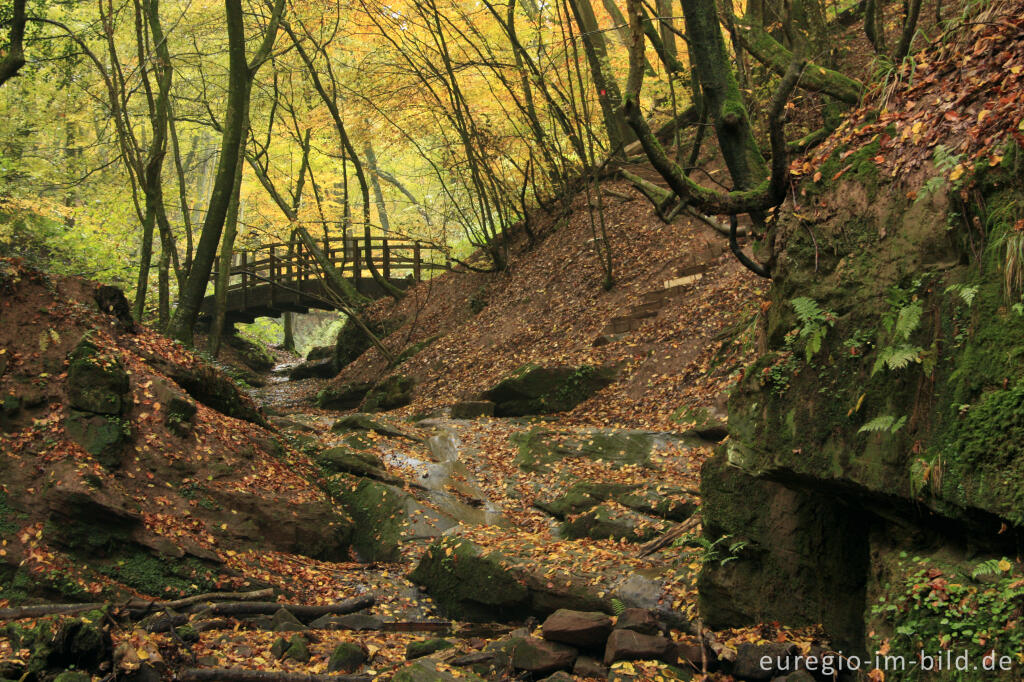 Detailansicht von Brücke im Butzerbachtal, Südeifel