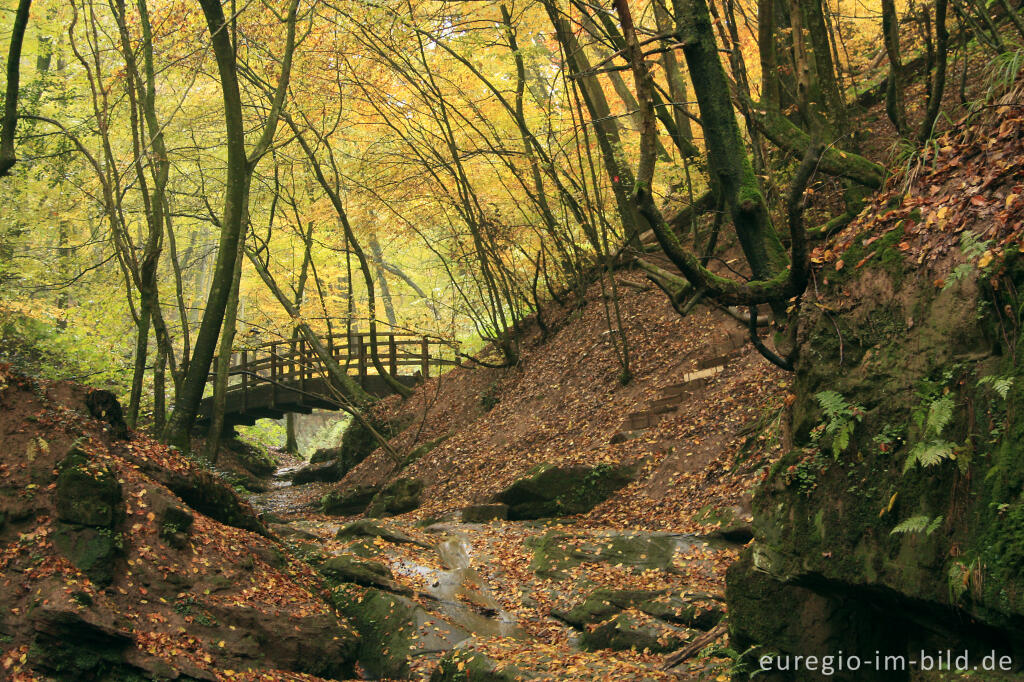 Brücke im Butzerbachtal, Südeifel