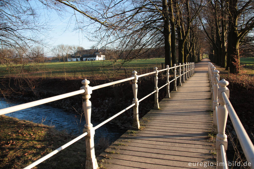 Detailansicht von Brücke mit Buchenallee, Geultal bei Oud Valkenburg