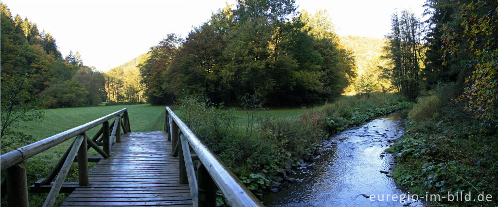 Detailansicht von Brücke über die Lieser, Lieserpfad / Eifelsteig